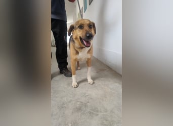 Veronica wartet immer noch geduldig