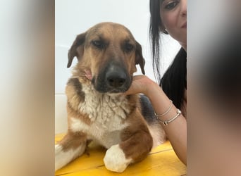 Veronica wartet immer noch geduldig