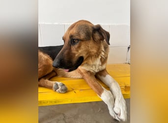 Veronica wartet immer noch geduldig