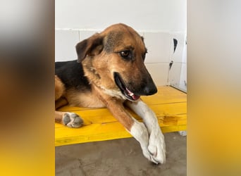 Veronica wartet immer noch geduldig