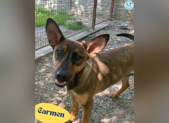Carmen SI, fröhlich und neugierig