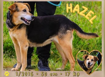 Seniorin Hazel ❣️ hat lange genug gewartet!