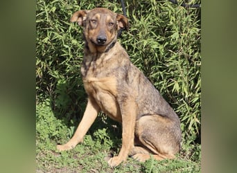 Hank ❇️ hat jetzt lange genug gewartet !!