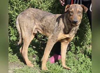 Hank ❇️ hat jetzt lange genug gewartet !!