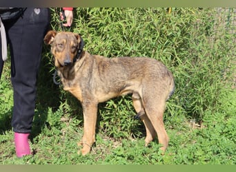 Hank ❇️ hat jetzt lange genug gewartet !!