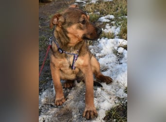 Gary - jung und gutaussehend sucht