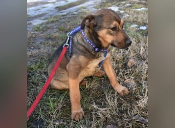 Gary - jung und gutaussehend sucht