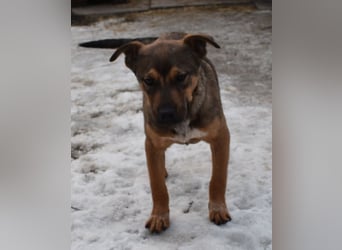 Gary - jung und gutaussehend sucht