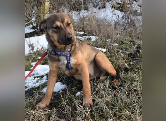 Gary - jung und gutaussehend sucht