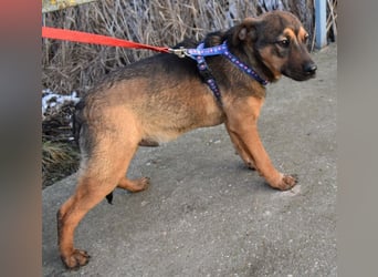 Gary - jung und gutaussehend sucht