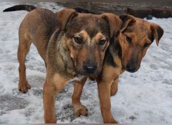 Gary - jung und gutaussehend sucht