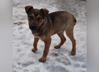 Gary - jung und gutaussehend sucht