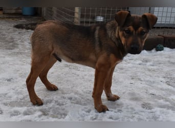 Gary - jung und gutaussehend sucht