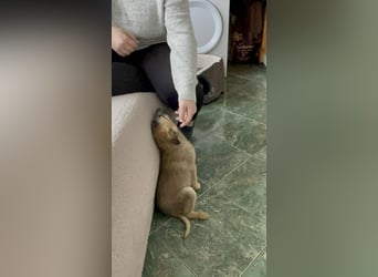 ELSA - ist bereit für ihr Abenteuer