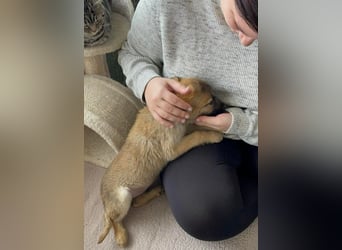 ELSA - ist bereit für ihr Abenteuer