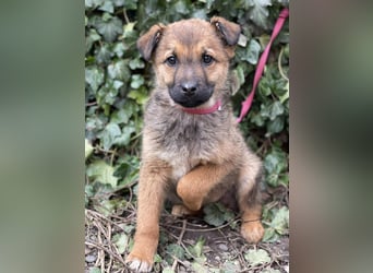 OTTO - Traumzuhause gesucht