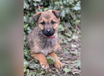 OTTO - Traumzuhause gesucht