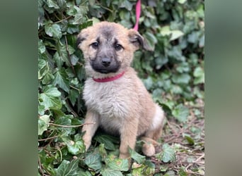 ELSA - ist bereit für ihr Abenteuer