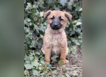 LUNA - darf sie mit dir die Welt entdecken?