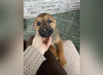 OTTO - Traumzuhause gesucht