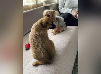 LUNA - darf sie mit dir die Welt entdecken?