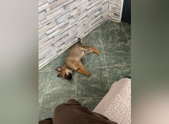 OTTO - Traumzuhause gesucht