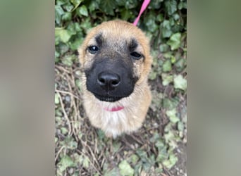 LUNA - darf sie mit dir die Welt entdecken?