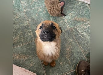 LUNA - darf sie mit dir die Welt entdecken?