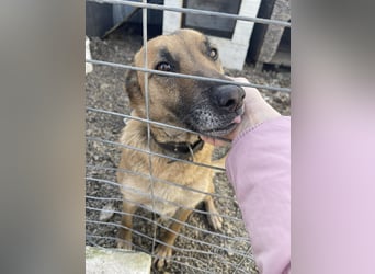 OTTO - Traumzuhause gesucht