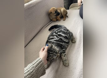 LUNA - darf sie mit dir die Welt entdecken?