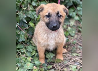 LUNA - darf sie mit dir die Welt entdecken?