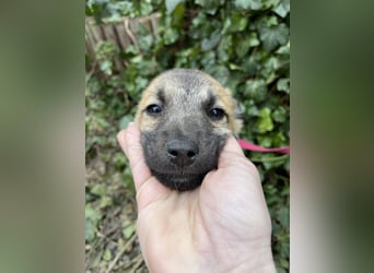 ELSA - ist bereit für ihr Abenteuer