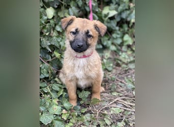 LUNA - darf sie mit dir die Welt entdecken?