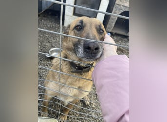 ELSA - ist bereit für ihr Abenteuer