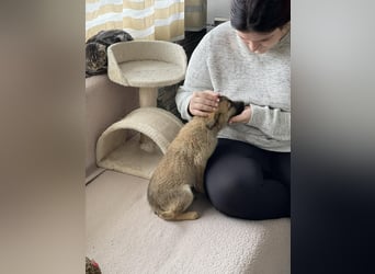 ELSA - ist bereit für ihr Abenteuer