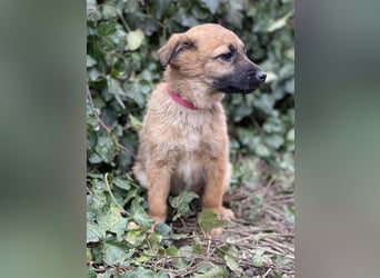 LUNA - darf sie mit dir die Welt entdecken?