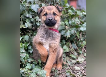 OTTO - Traumzuhause gesucht