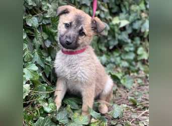 ELSA - ist bereit für ihr Abenteuer