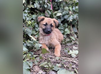 LUNA - darf sie mit dir die Welt entdecken?