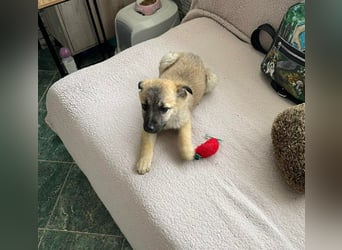 ELSA - ist bereit für ihr Abenteuer