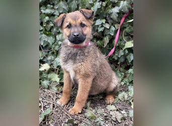 OTTO - Traumzuhause gesucht