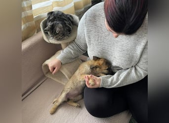 ELSA - ist bereit für ihr Abenteuer