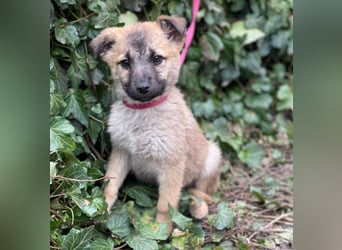 ELSA - ist bereit für ihr Abenteuer