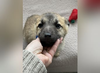 ELSA - ist bereit für ihr Abenteuer