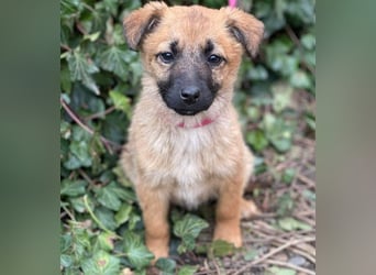 LUNA - darf sie mit dir die Welt entdecken?