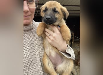 LUNA - darf sie mit dir die Welt entdecken?