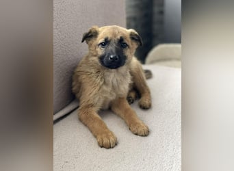 LUNA - darf sie mit dir die Welt entdecken?