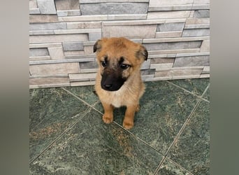 LUNA - darf sie mit dir die Welt entdecken?