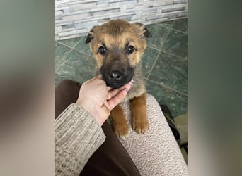 OTTO - Traumzuhause gesucht