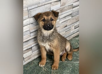 OTTO - Traumzuhause gesucht